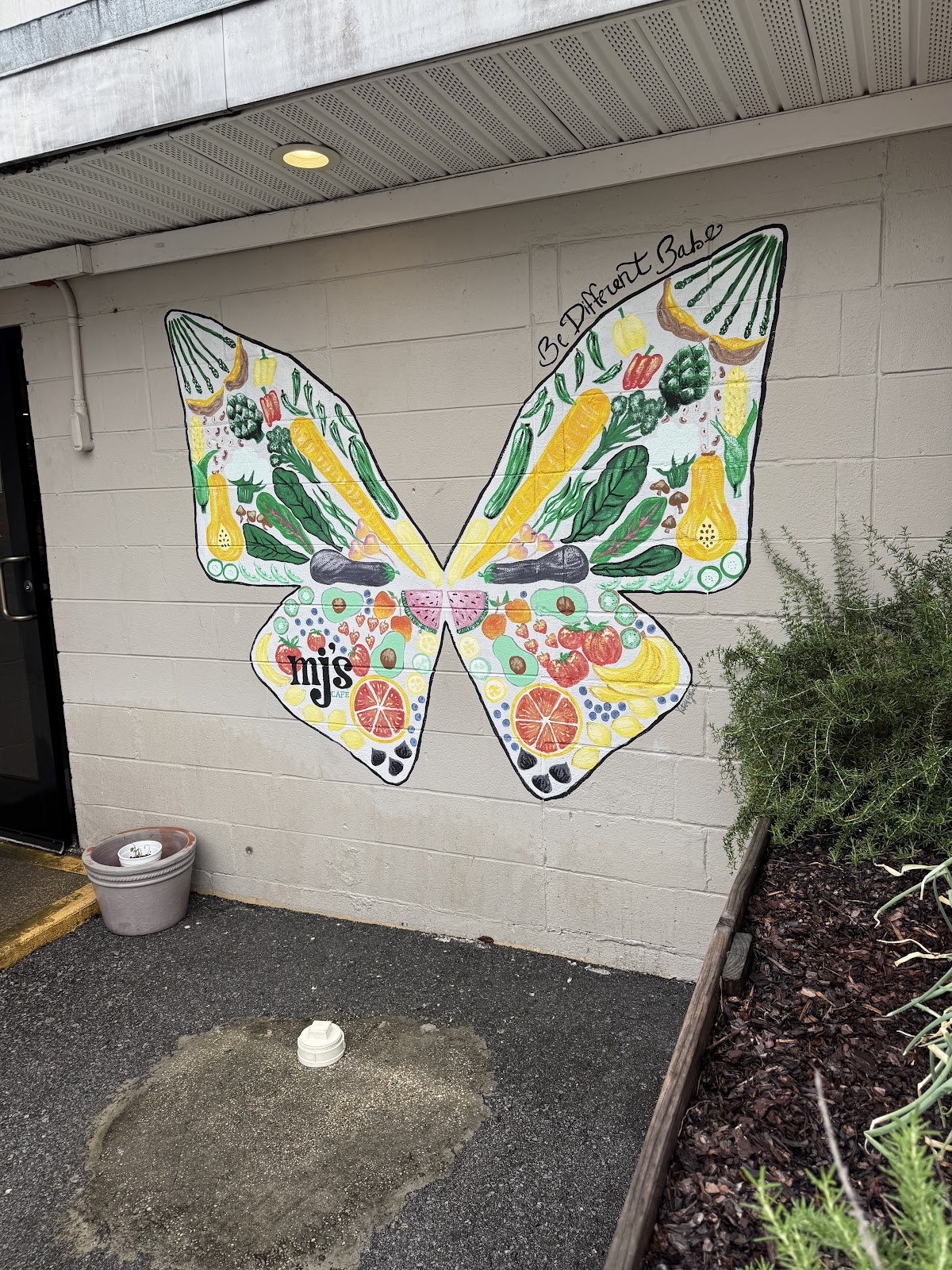Photo of MJ's Cafe