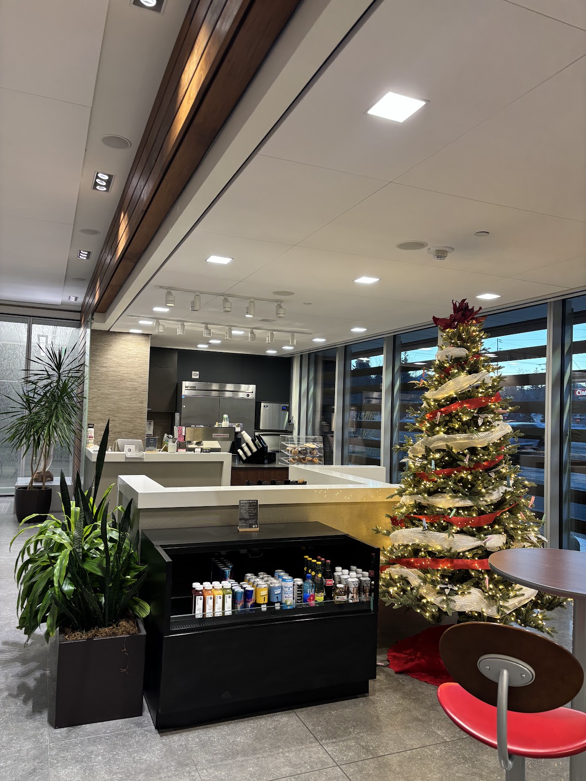 Chugach Mountain Roasters | fireweed interior