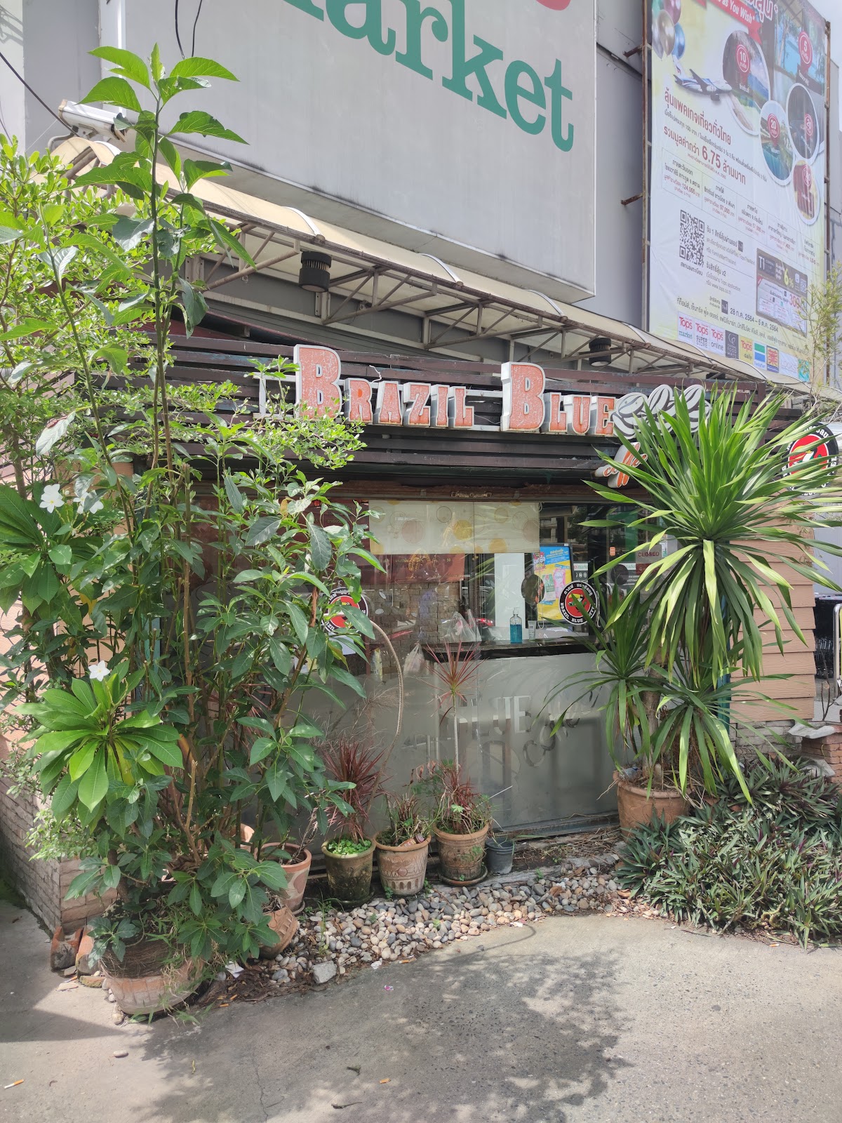 บราซิลบลู interior