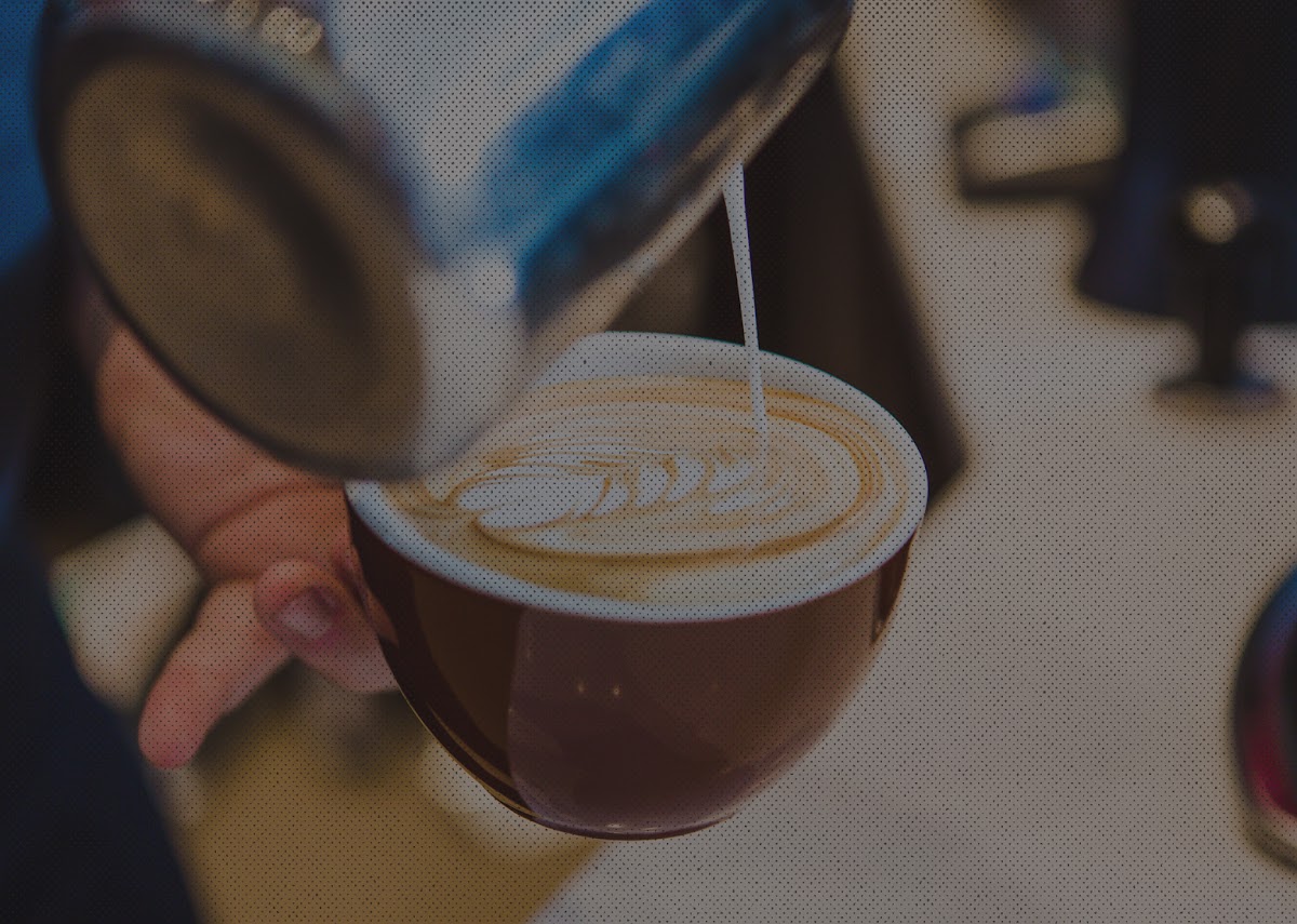 Tradecraft Coffee & Tea Outfitters interior