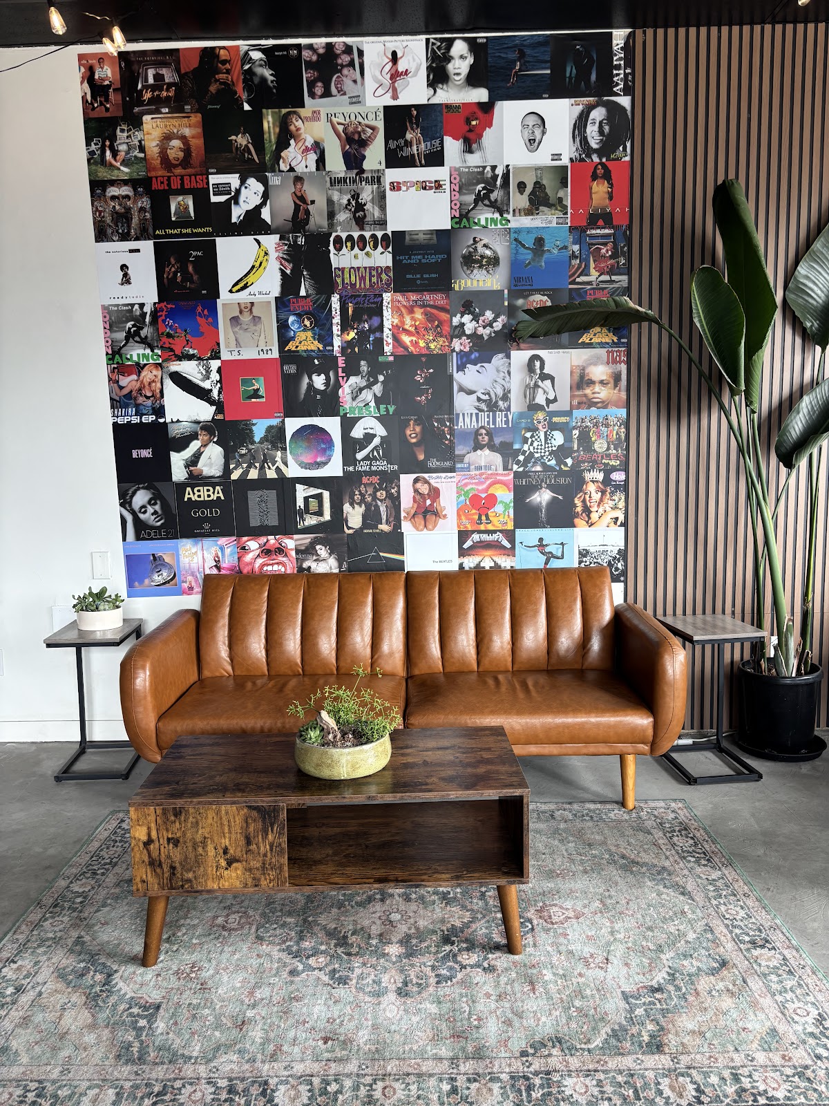 Photo of University Coffee Co
