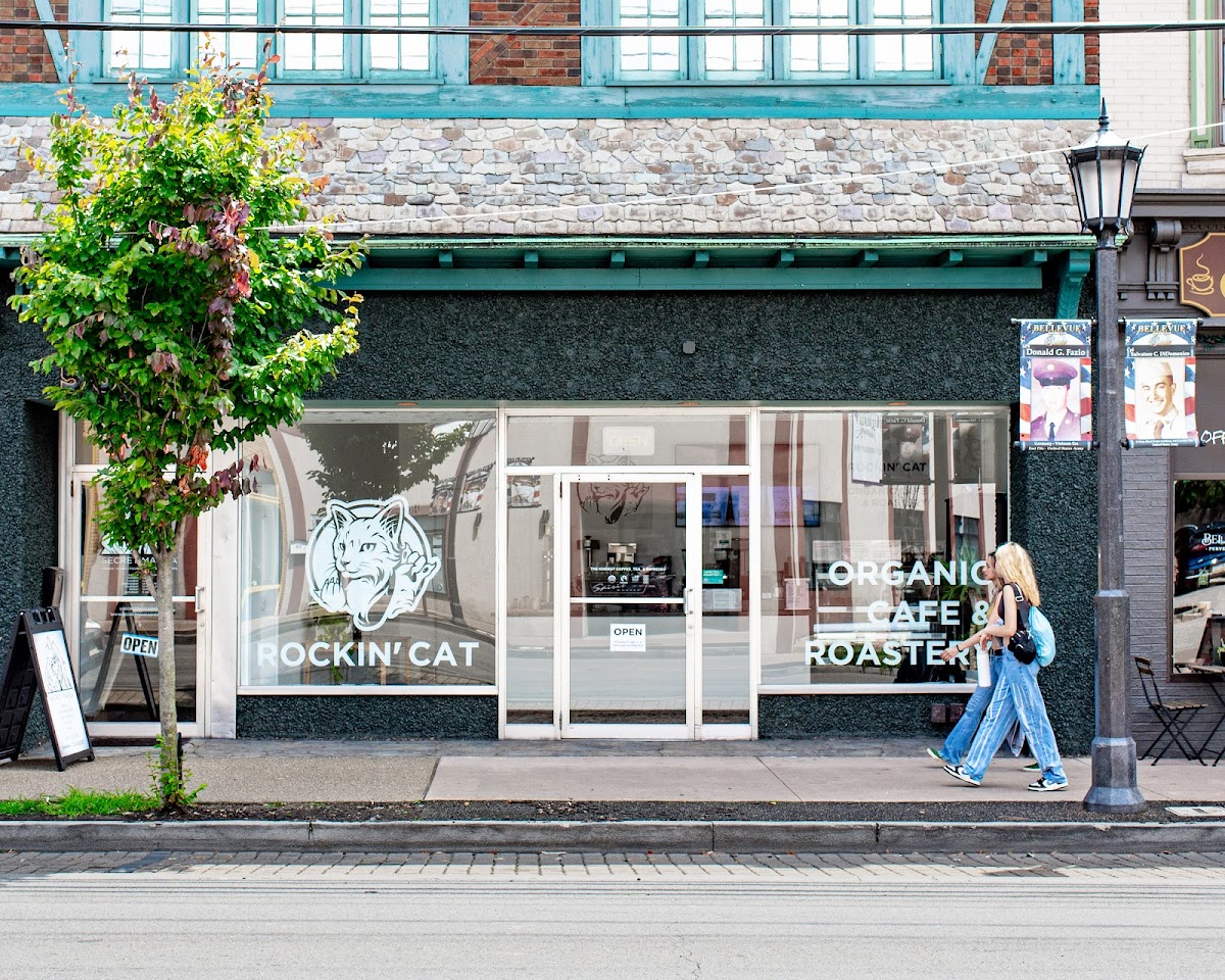 Rockin' Cat Organic Cafe and Roastery interior
