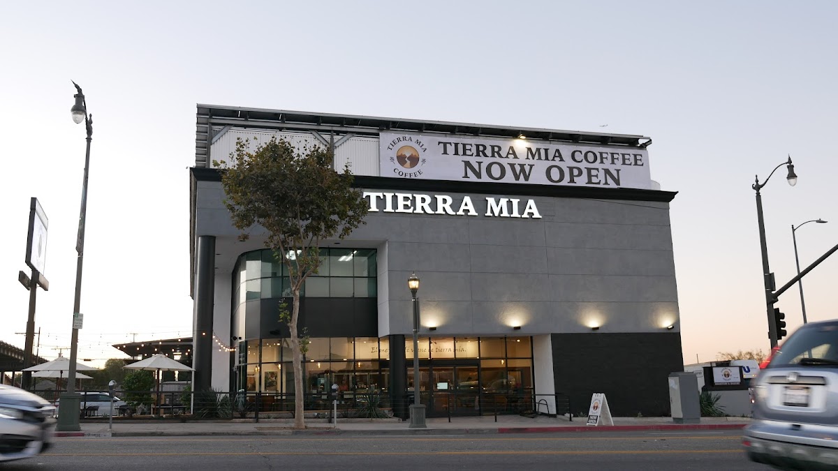 Tierra Mia Coffee interior