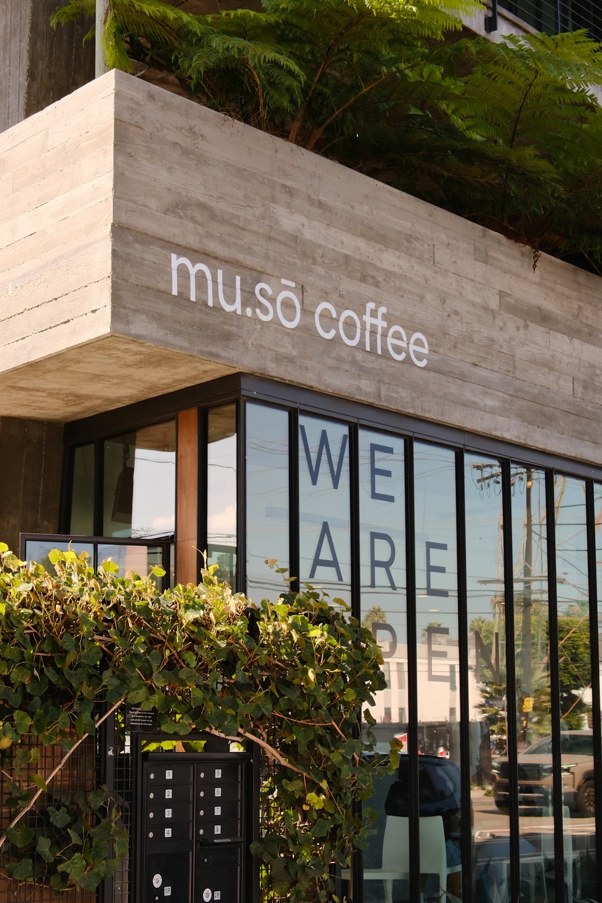 mu.sō coffee interior