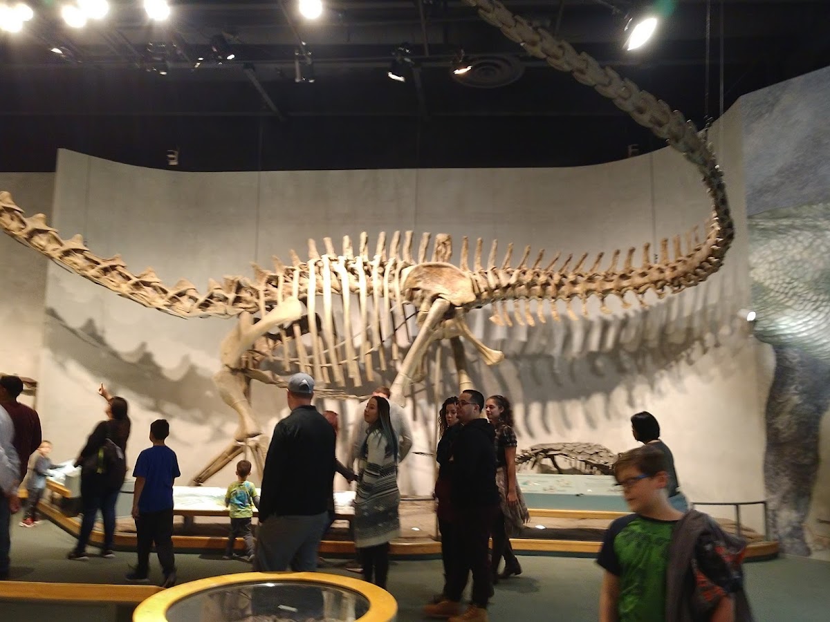 Photo of T-Rex Cafe