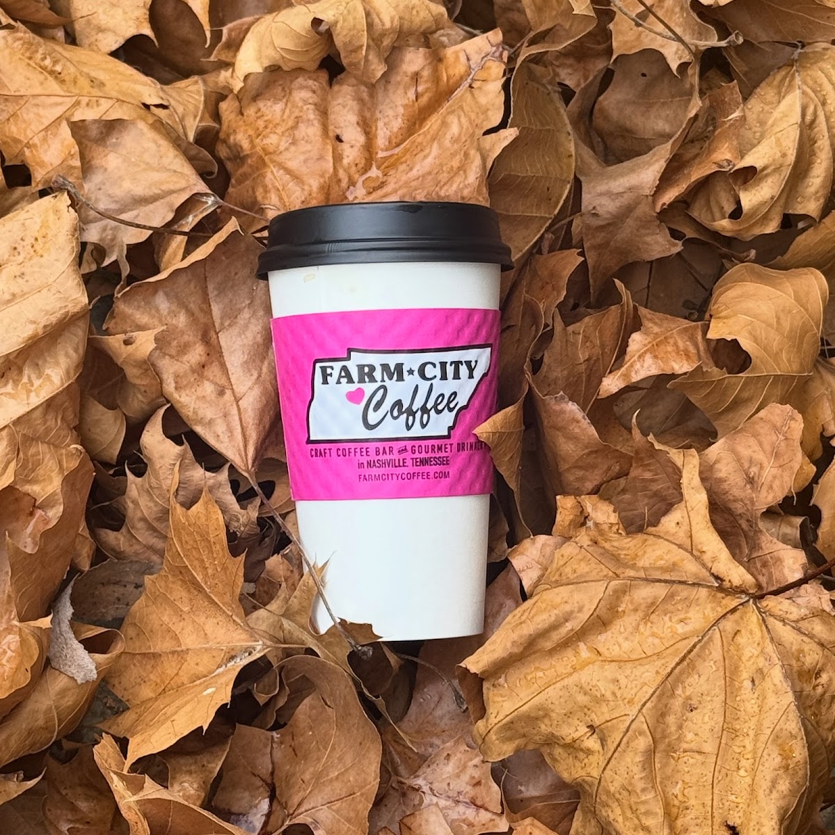 Photo of Farm City Coffee