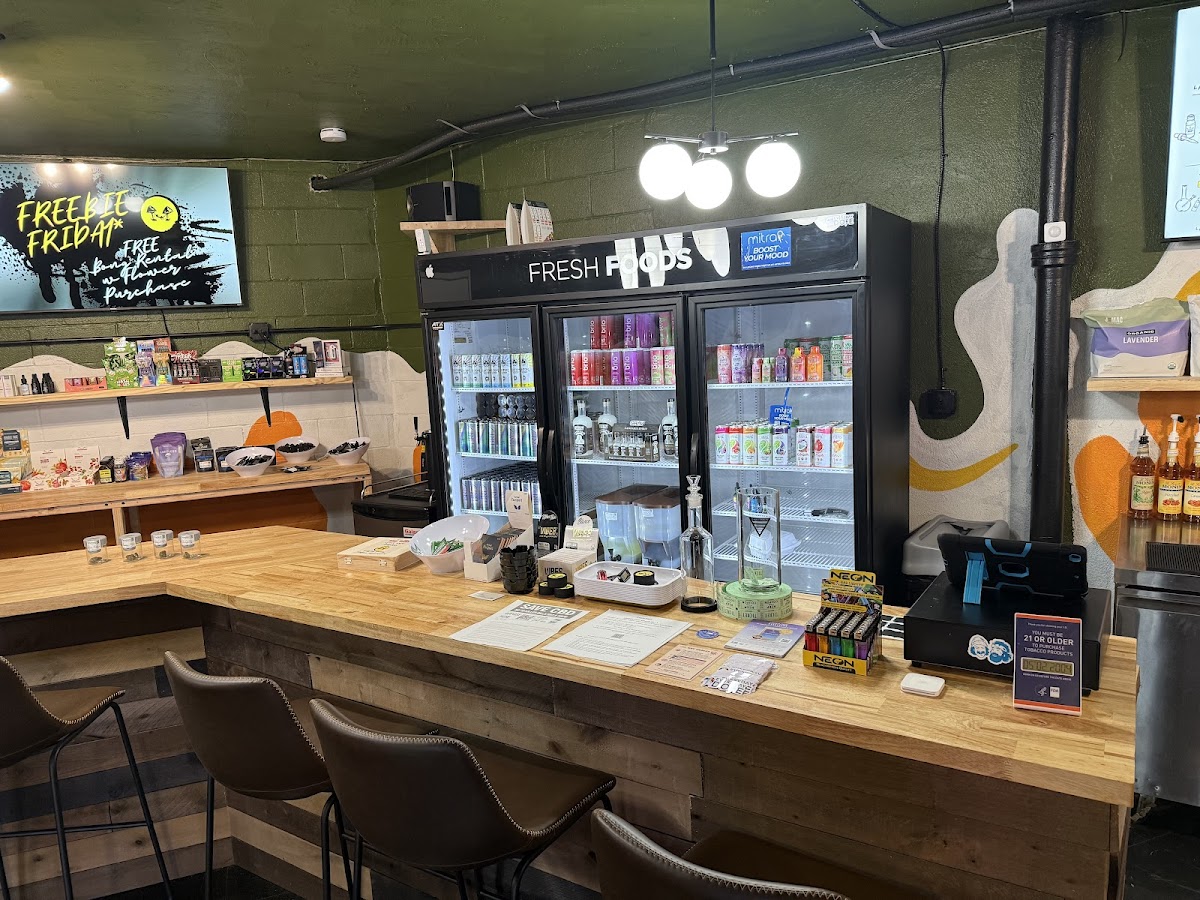 LazyDaze interior