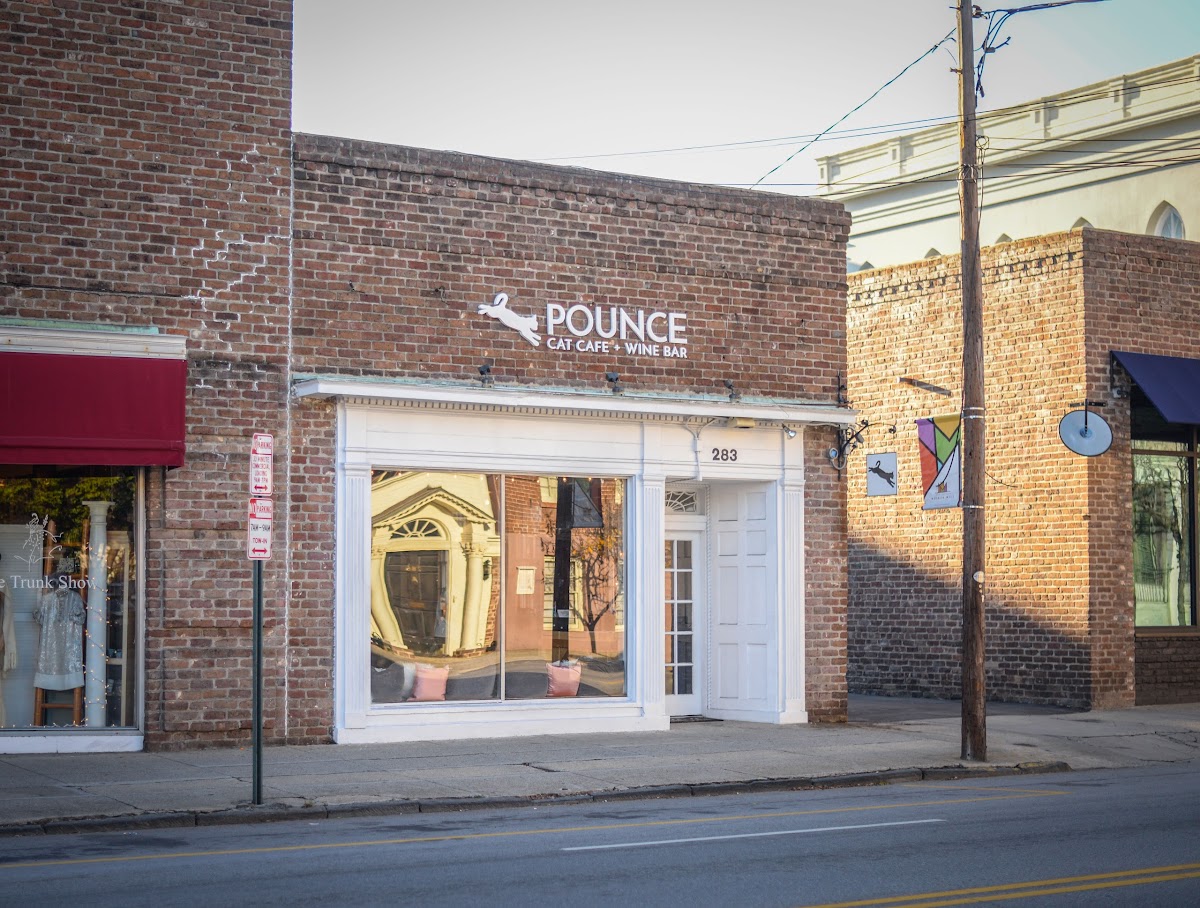 Pounce Cat Cafe and Wine Bar interior