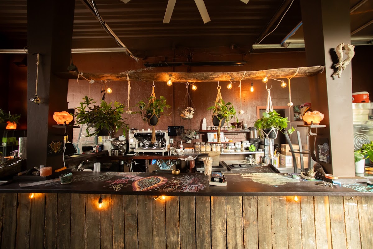 Asheville Kava X Coffee interior