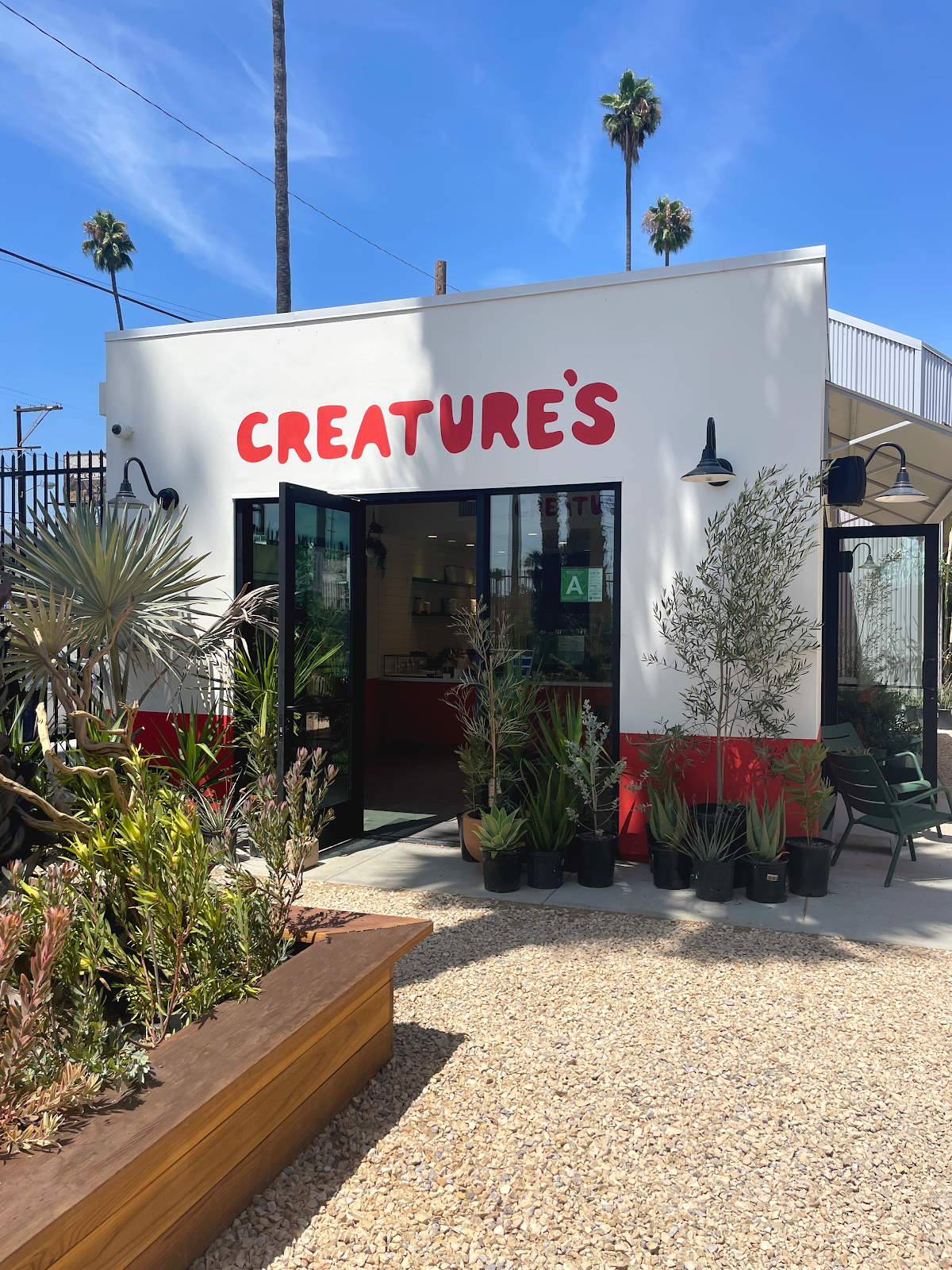 Creature's Plants & Coffee interior