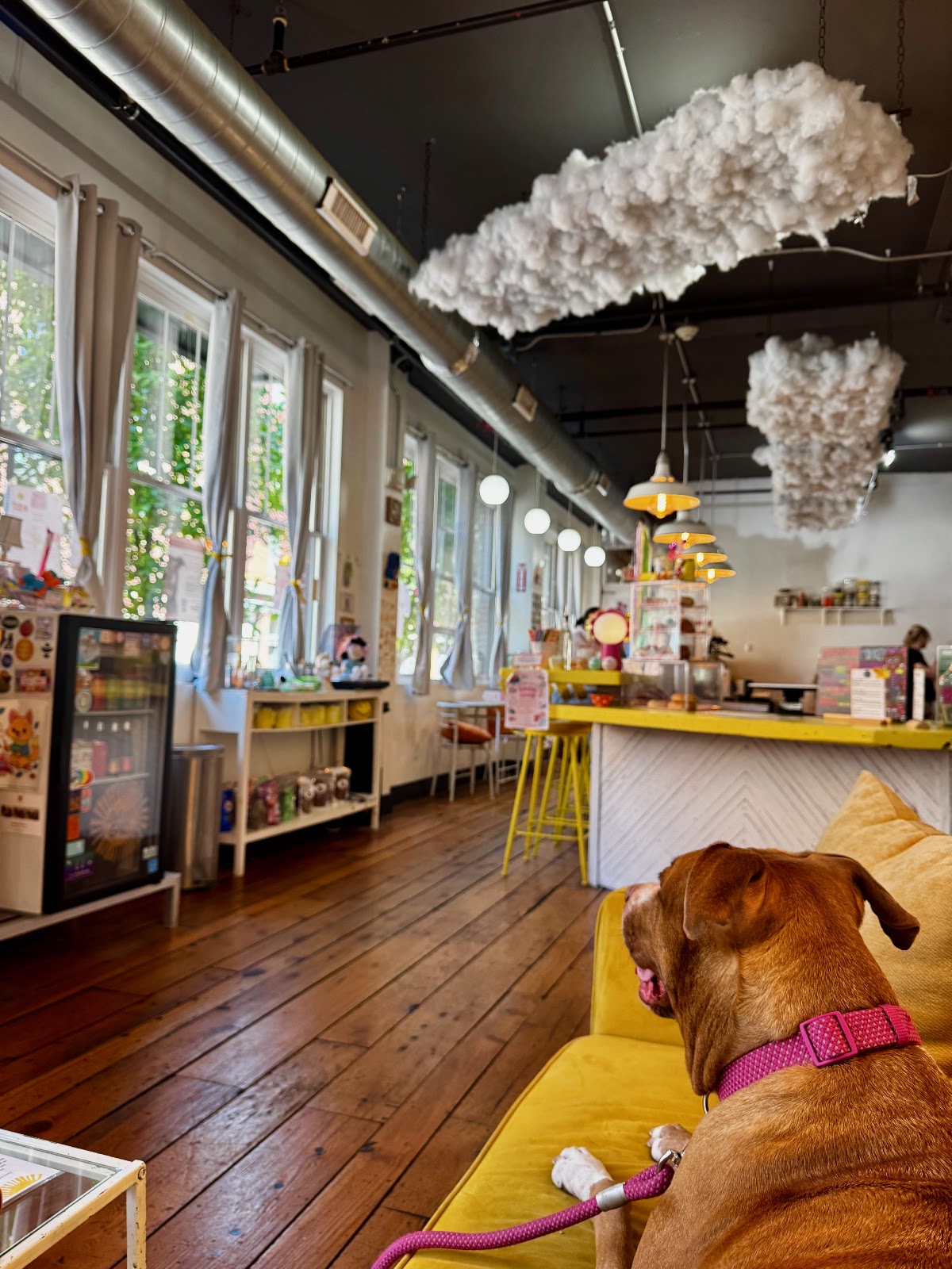Sunday Girl interior