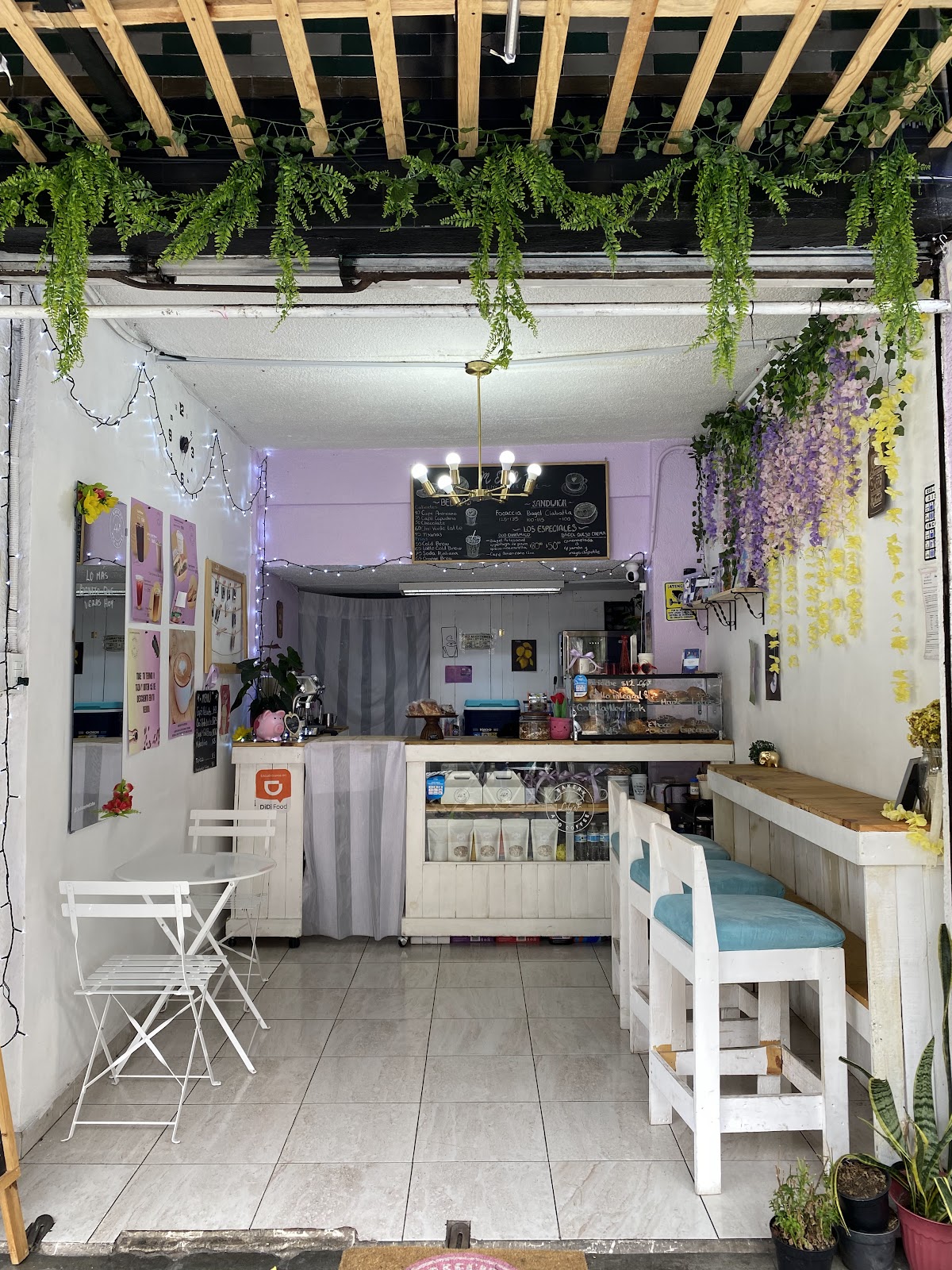 Lily's Bakery and Coffee interior