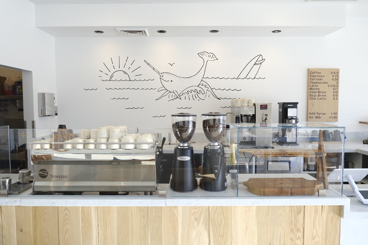 Gnarwhal Coffee Co. interior