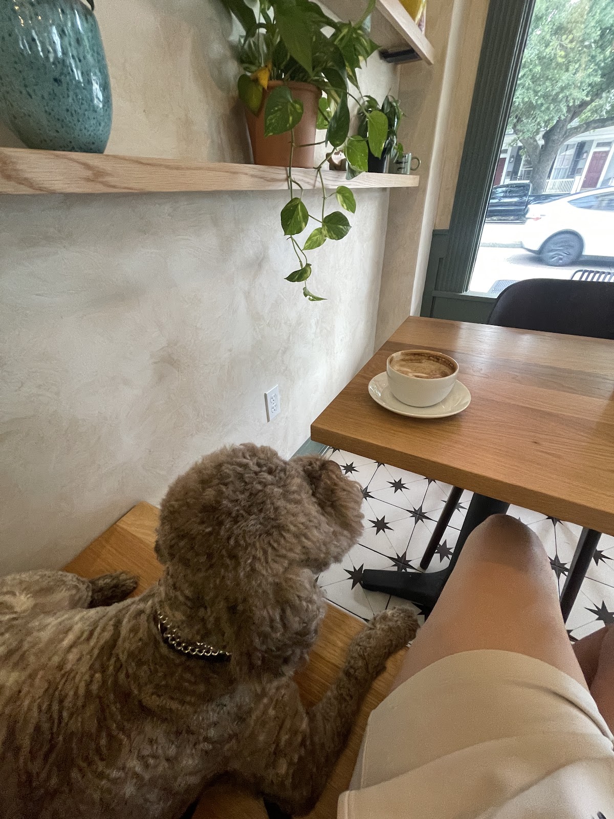 Photo of Congregation Coffee Roasters