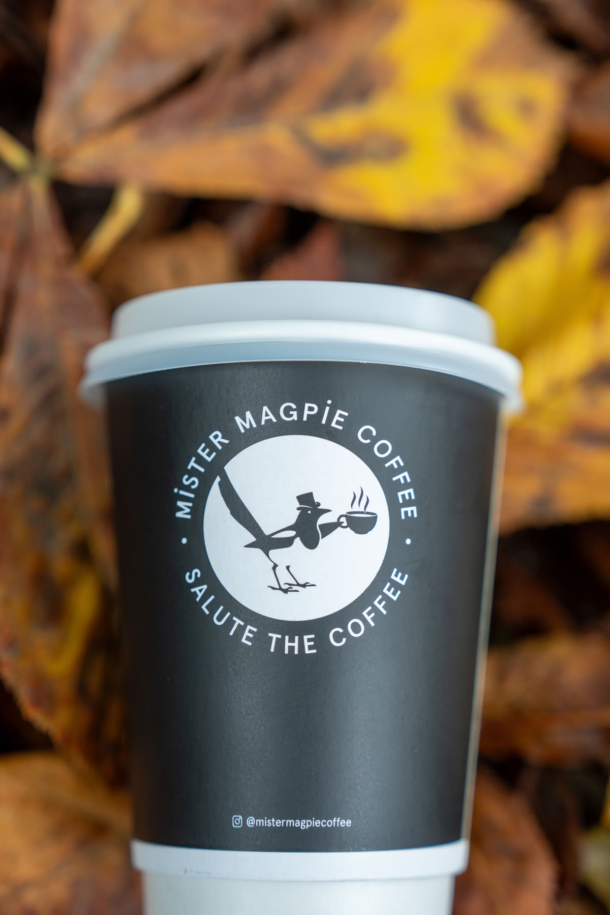 Mister Magpie Coffee (Merrion Cricket Club) interior