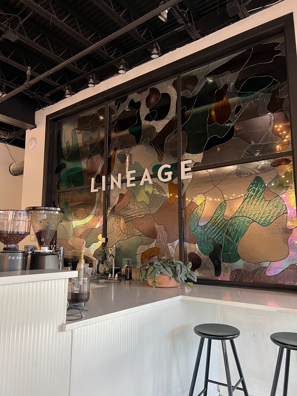 Photo of Lineage Coffee