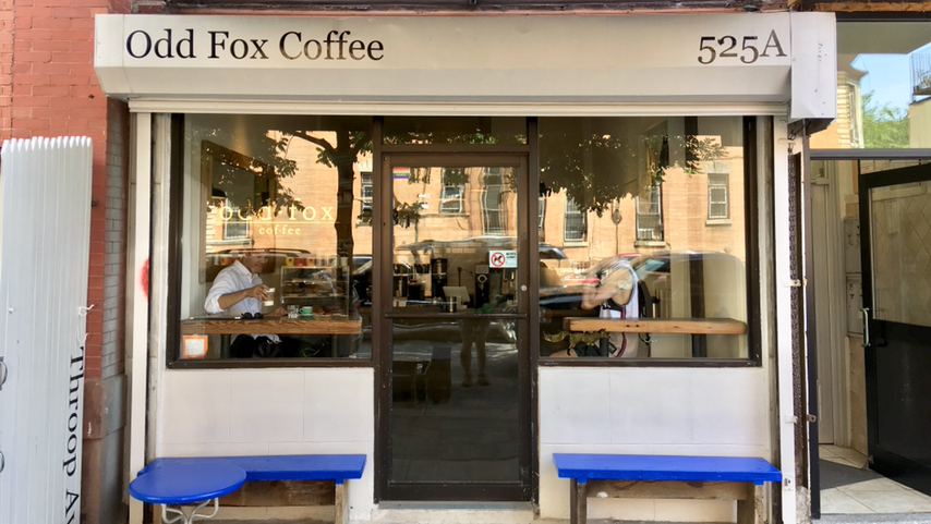 Odd Fox Coffee interior