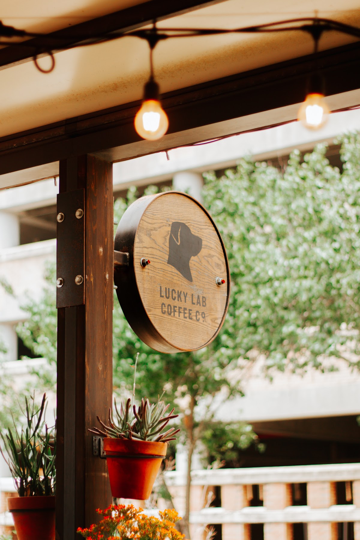 Lucky Lab Coffee Co. interior