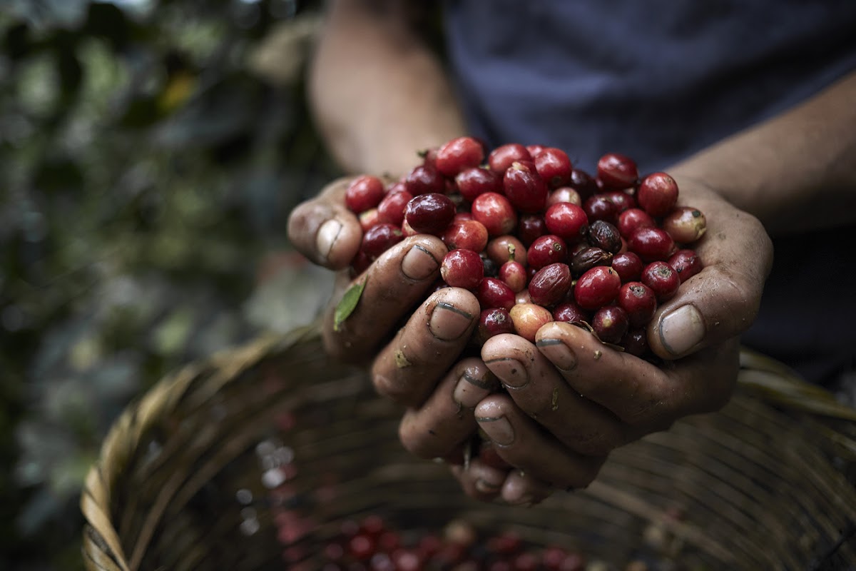 Photo of Trail Coffee Roasters