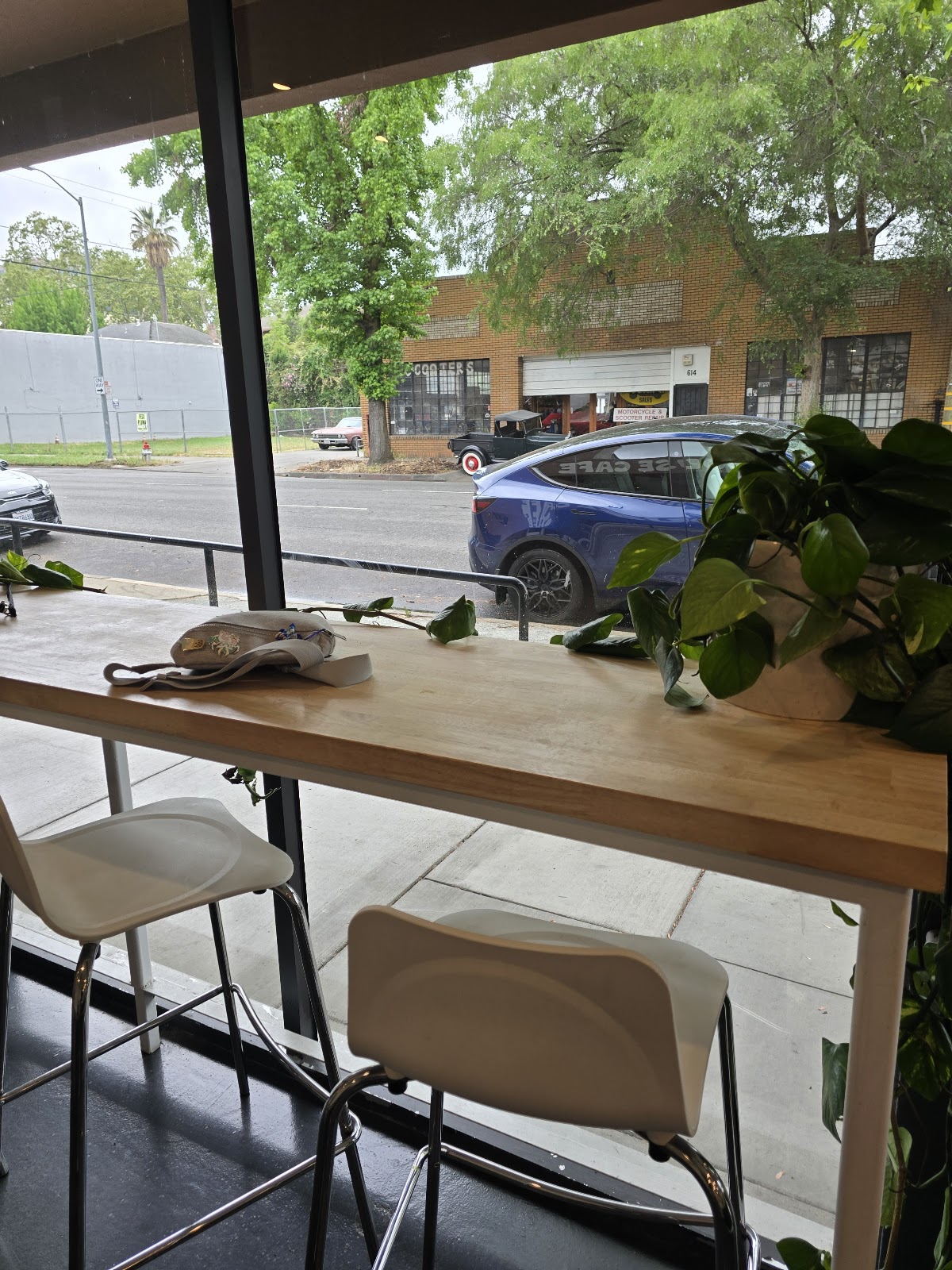 Sun House Cafe interior