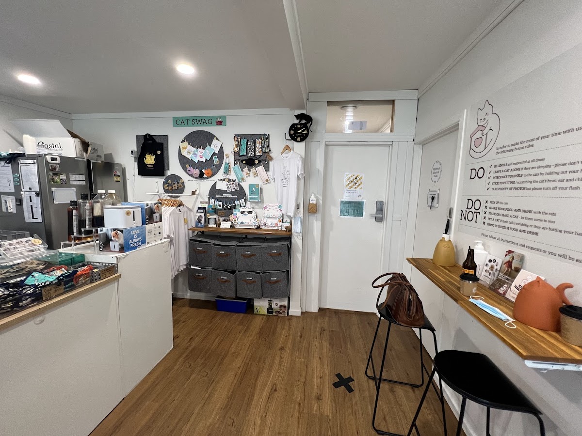 Purrs and Beans interior