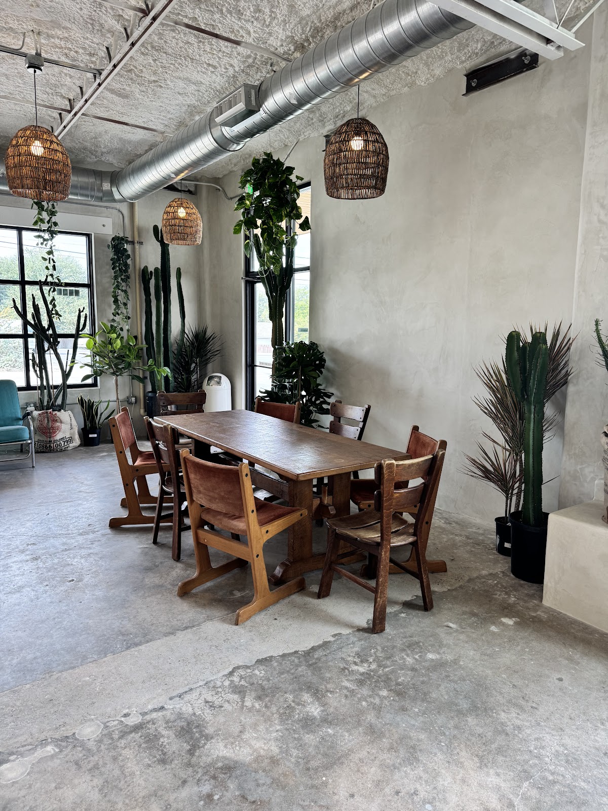 Palomino Coffee Roasters interior