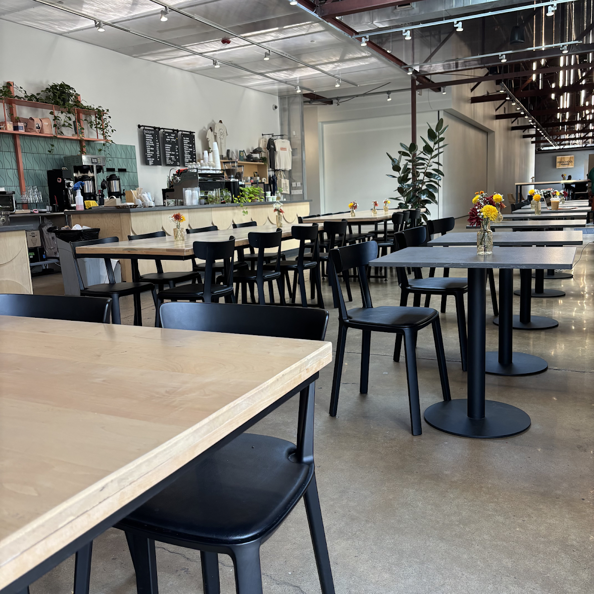 Paper Co. Coffee Bar interior