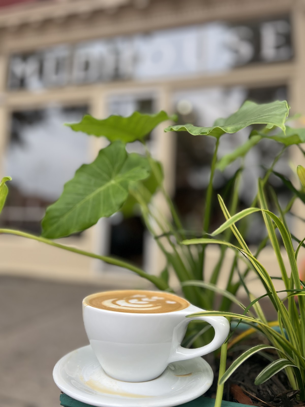 Photo of Mudhouse Richmond
