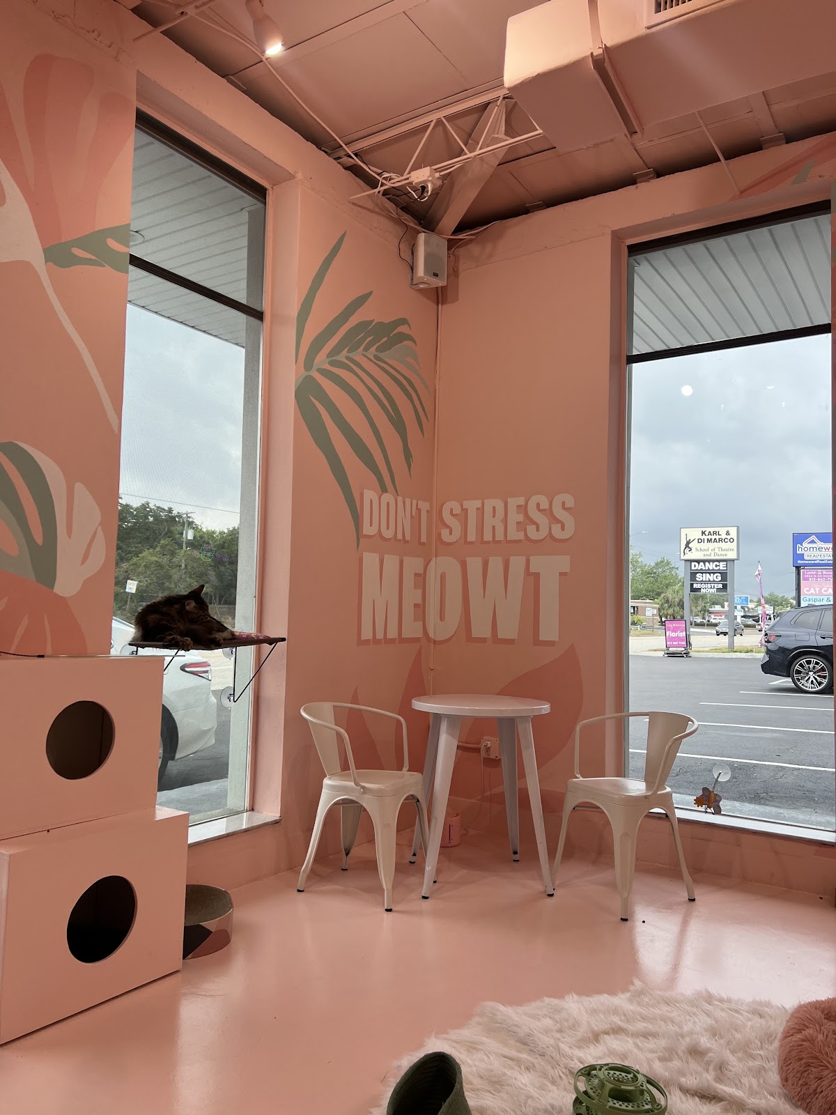 Cats and Caffeine interior