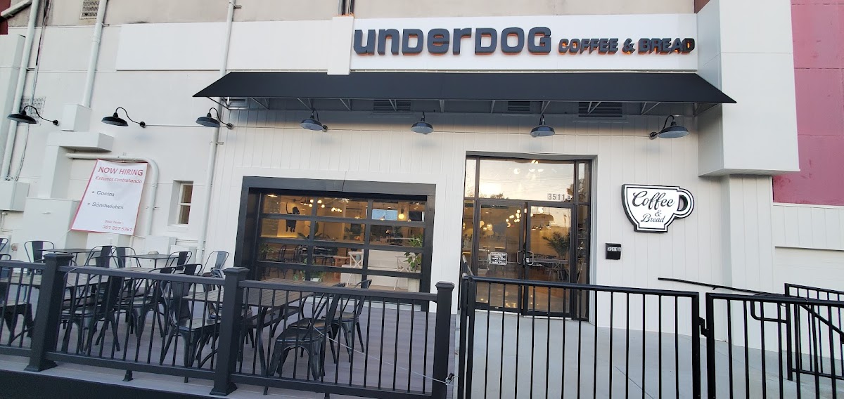 Underdog Coffee and Bread Falls Church interior