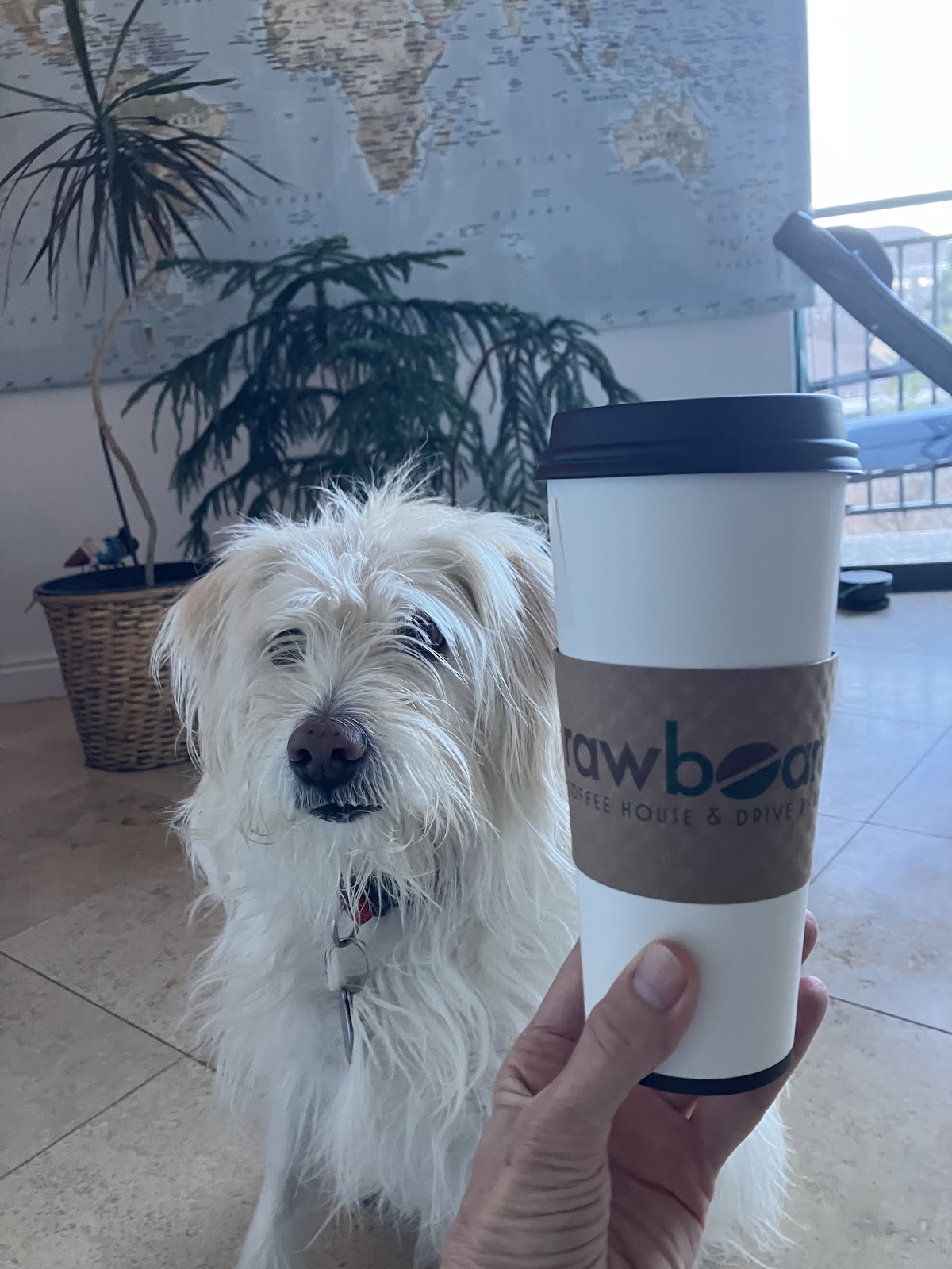 Photo of Rawbean Coffee