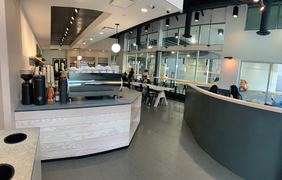 Trees Organic Coffee interior