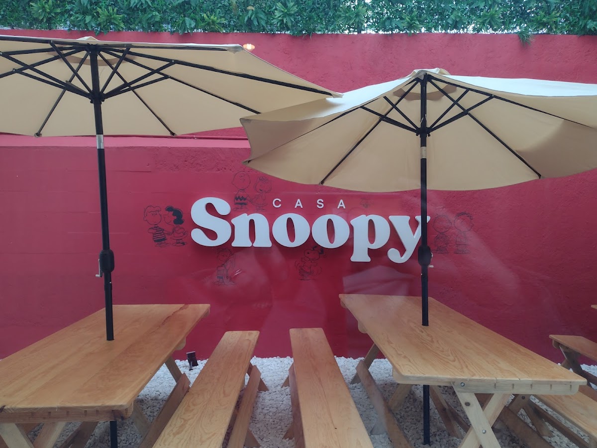 Casa Snoopy Condesa interior