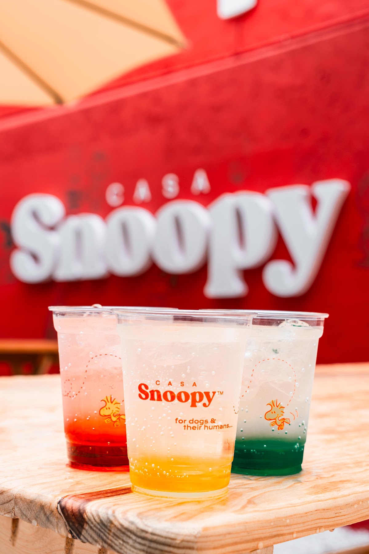 Photo of Casa Snoopy Condesa
