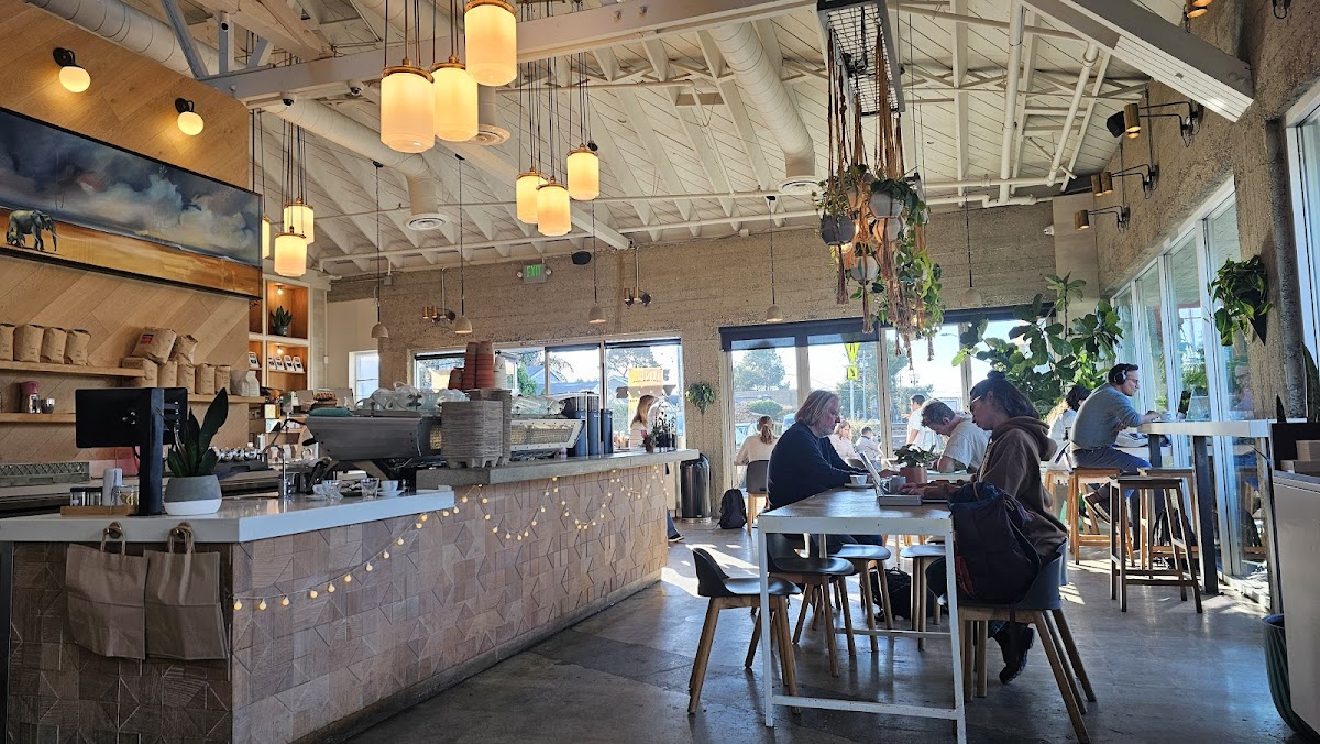 Photo of Verve Coffee Roasters