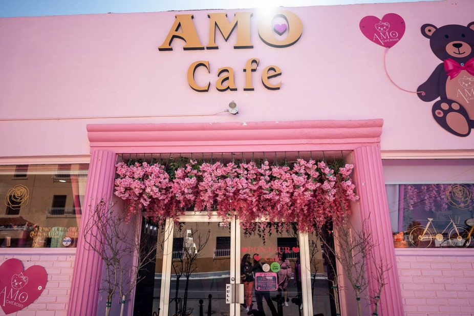 AMO the Pink Cafe in El Paso interior