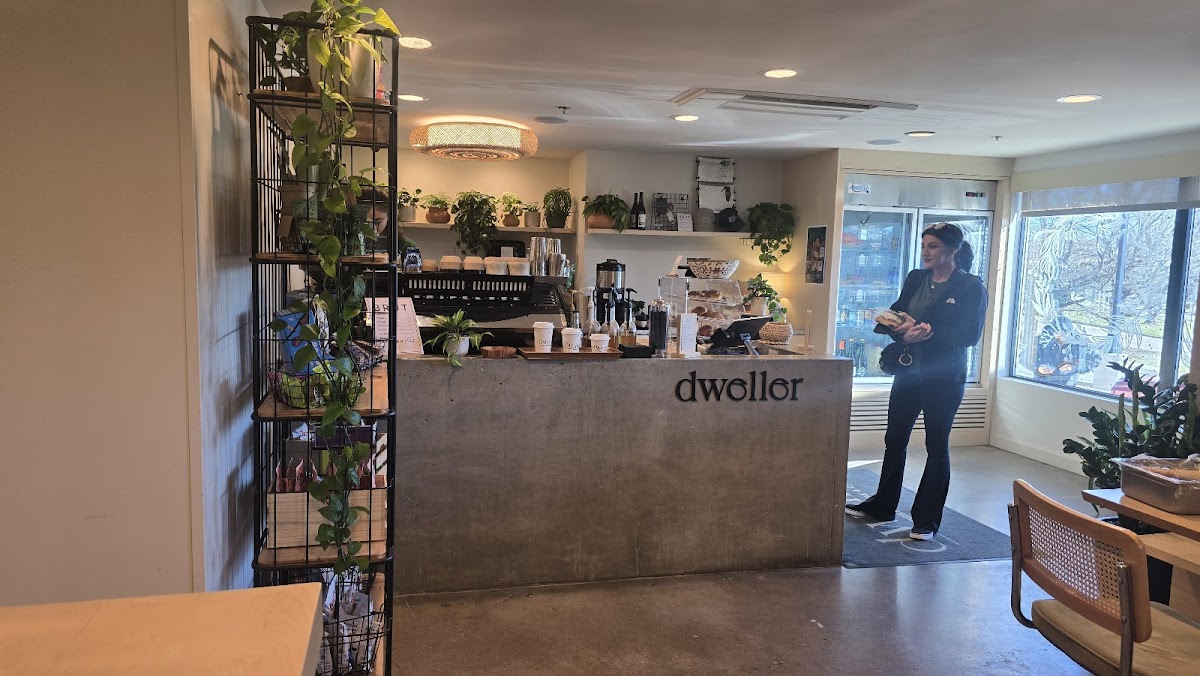 Dweller Lounge & Café interior