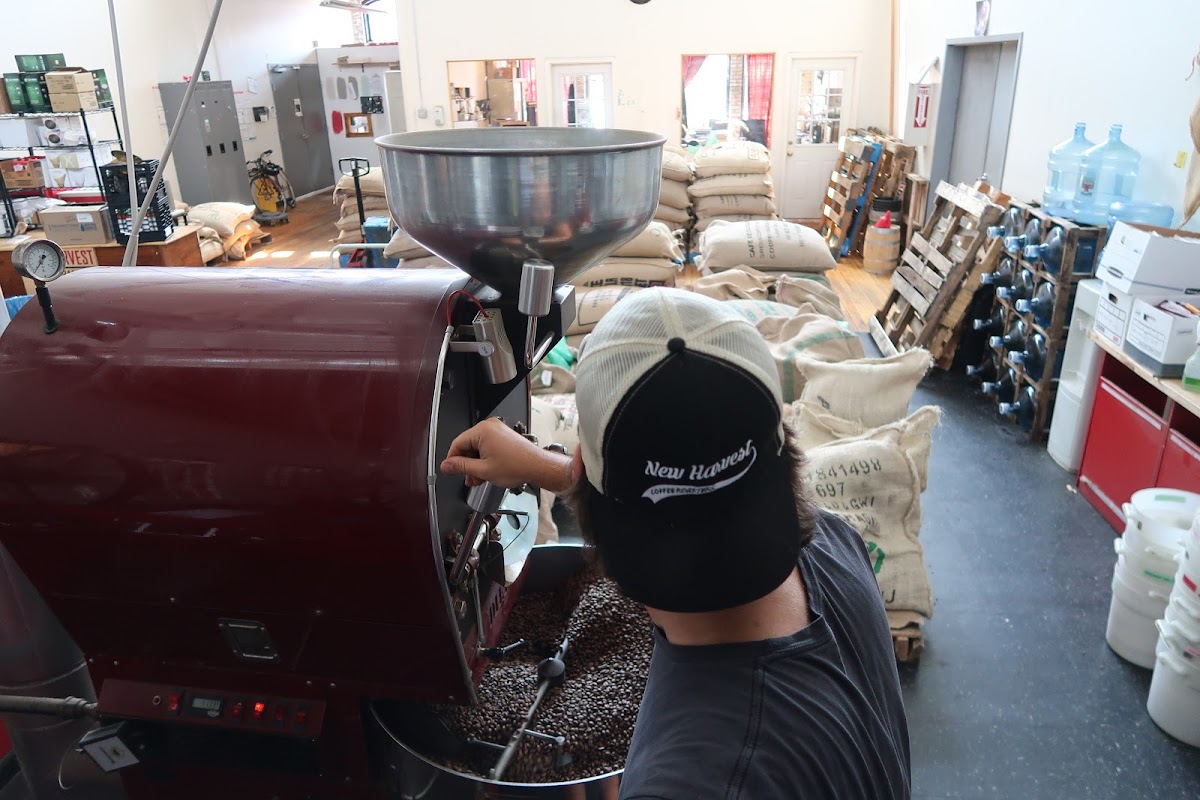 New Harvest Coffee Roasters interior
