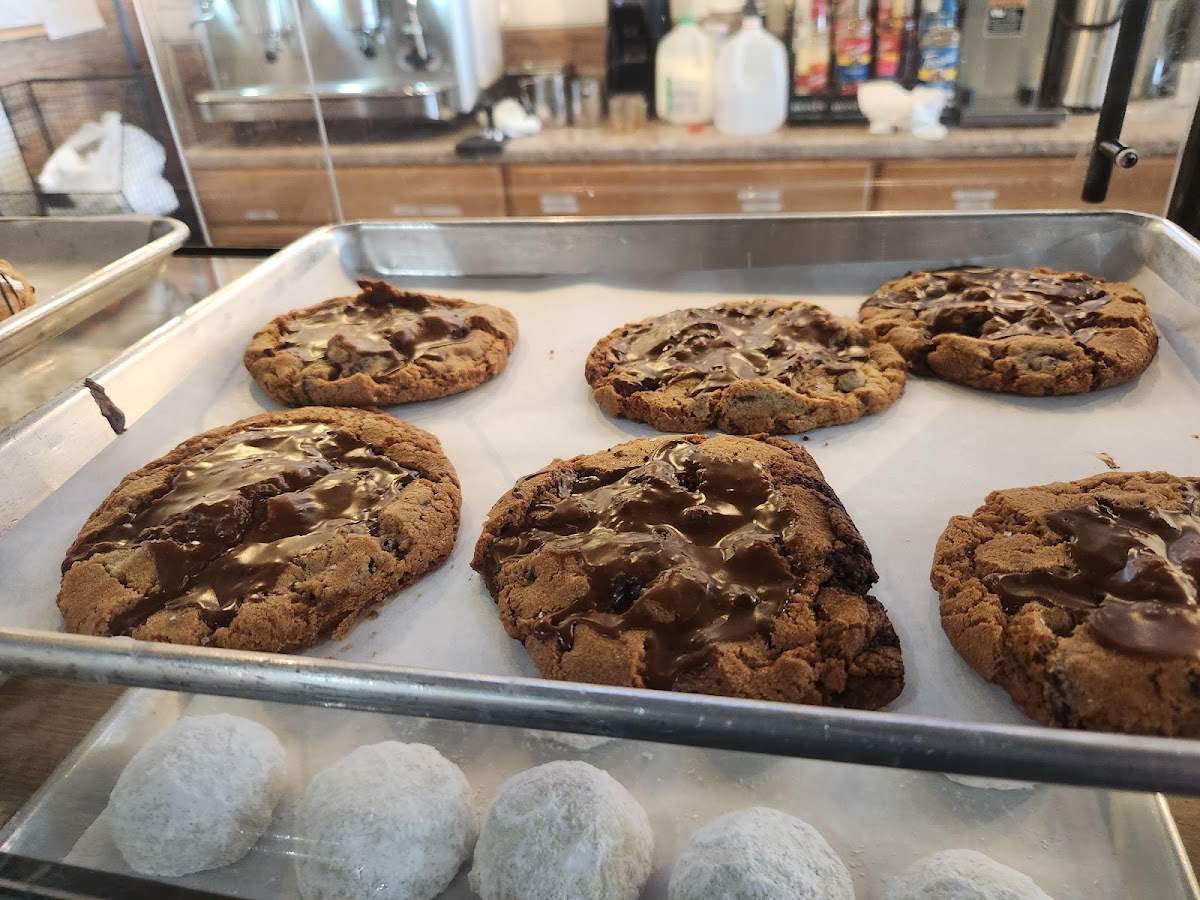 Photo of Sugar Shane's Gourmet Bakery