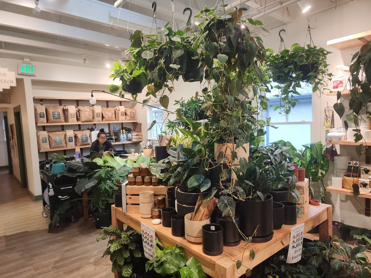 Photo of Bellwood Coffee