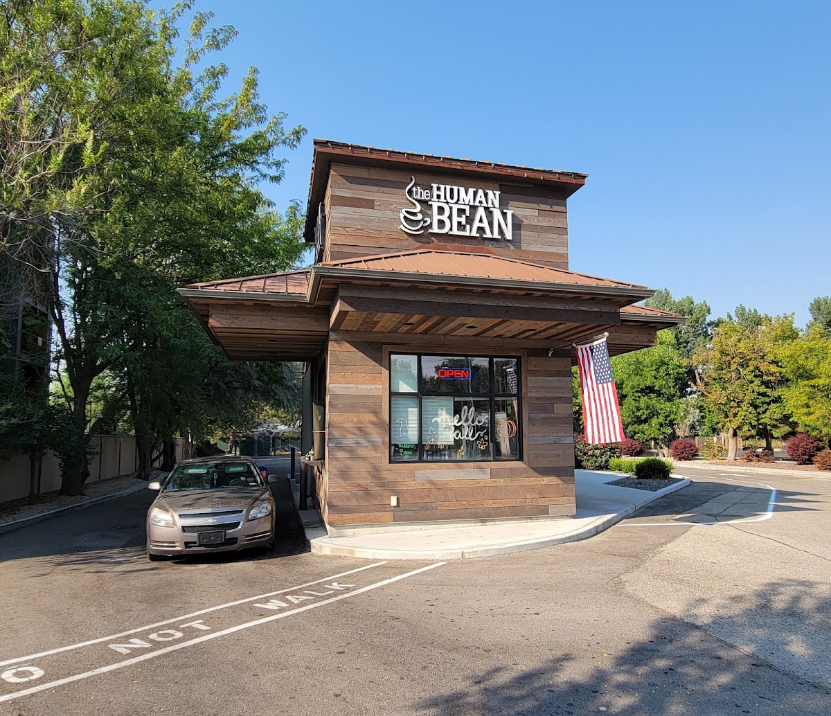 The Human Bean interior