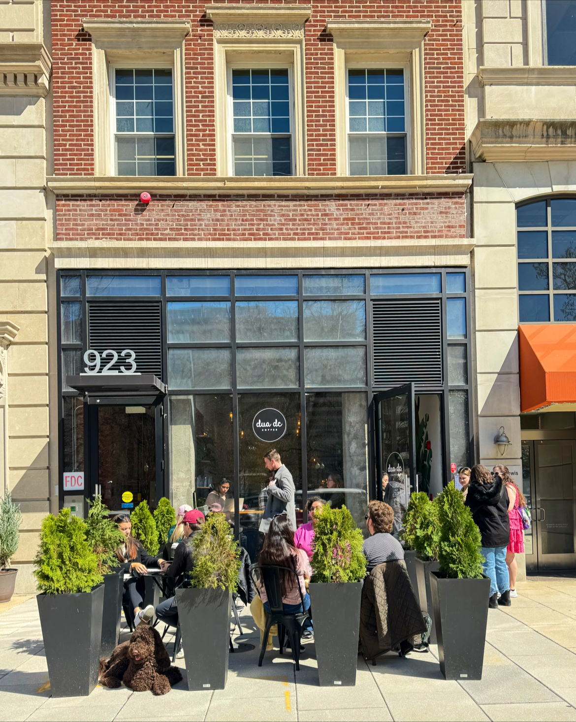 DUA DC Coffee interior