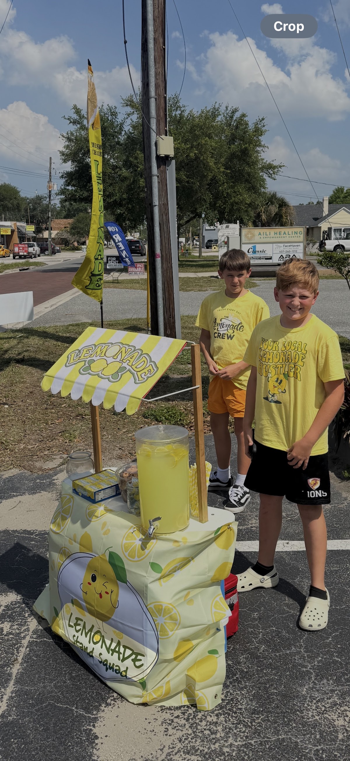 Photo of The lemonade spot