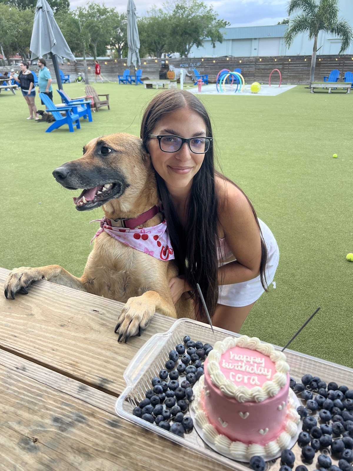 Photo of Sweet Dog Tampa