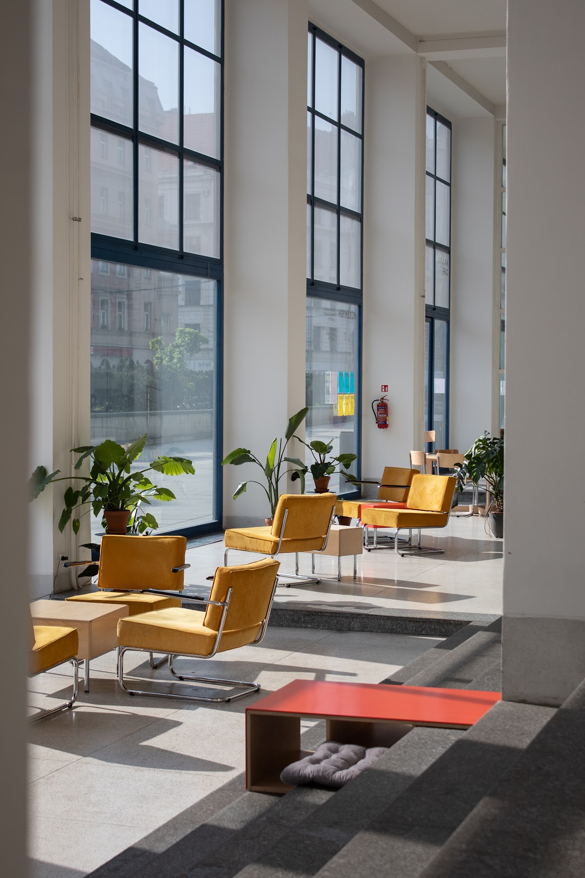 Kolektor interior