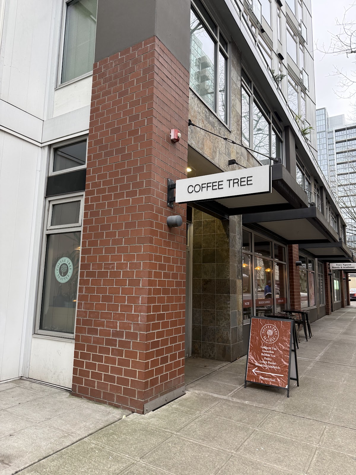 Coffee Tree interior