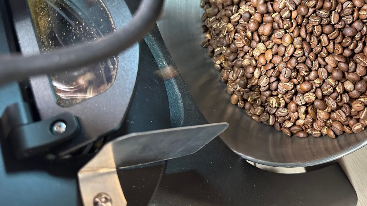 Fat cat roastery interior