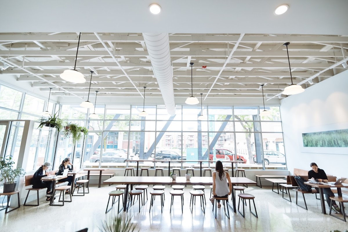 Likewise Coffee interior
