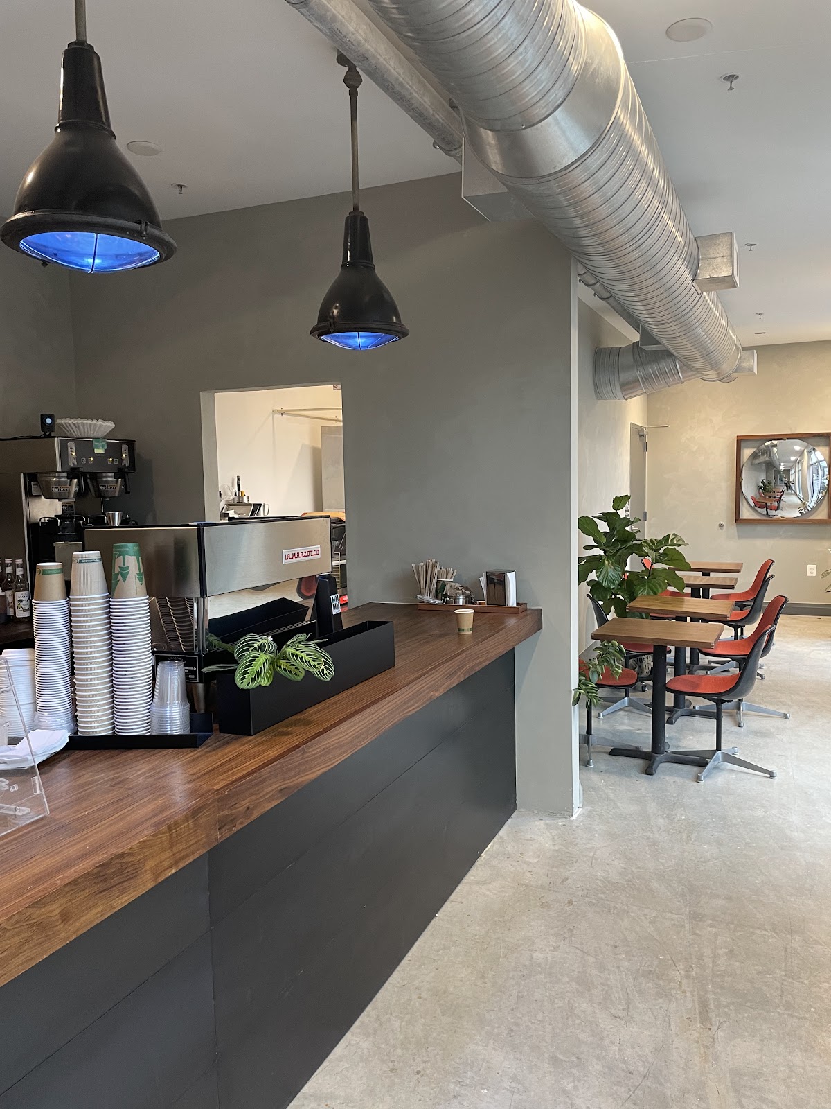 Dear Globe Coffee interior