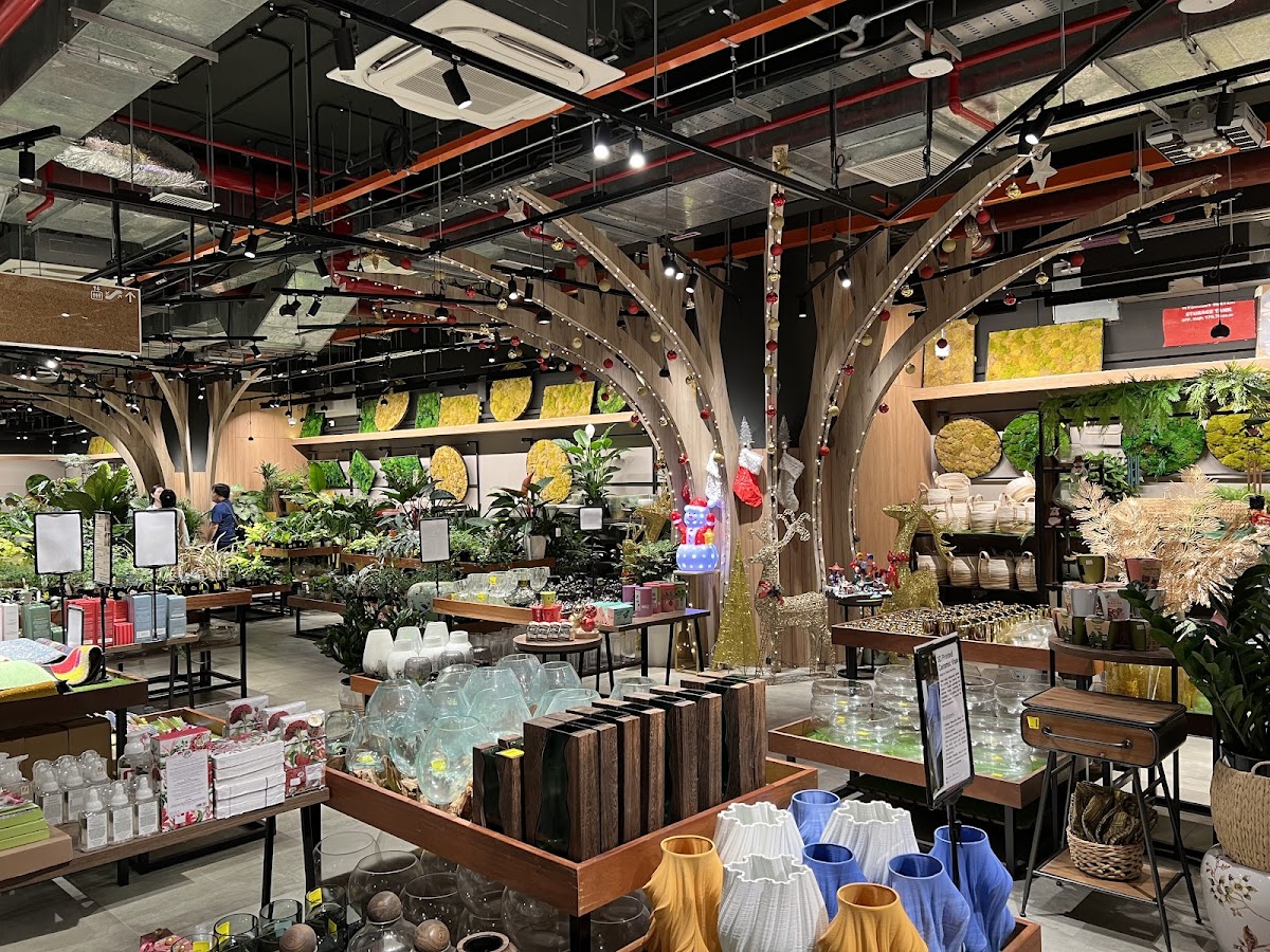 F'east interior